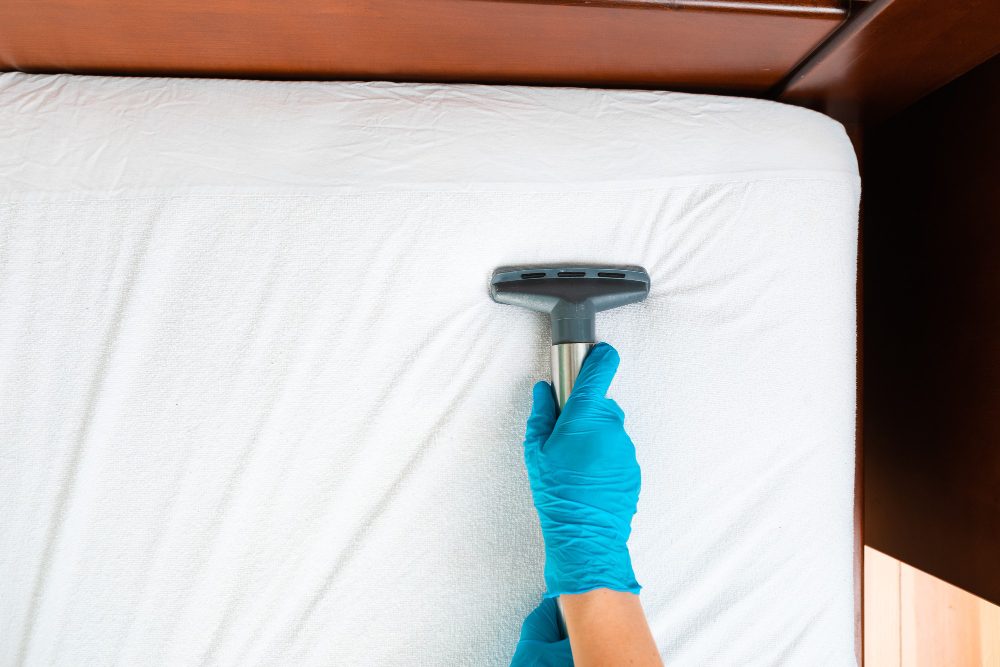 Experience Our Comprehensive Mattress Cleaning Solutions