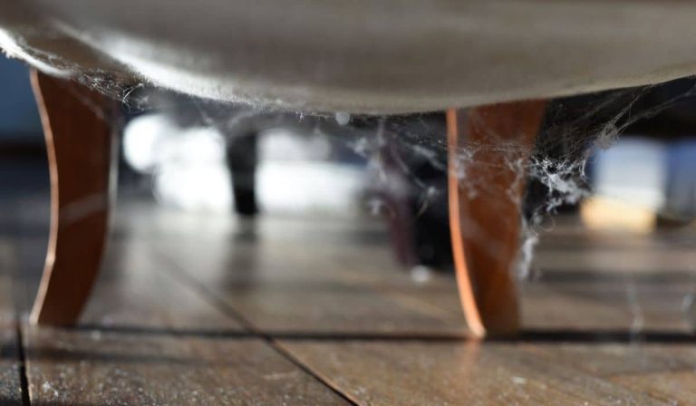 how-to-get-rid-of-cobwebs