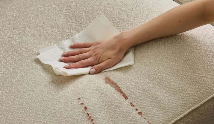 remove-chocolate-milk-stains-from-sofa