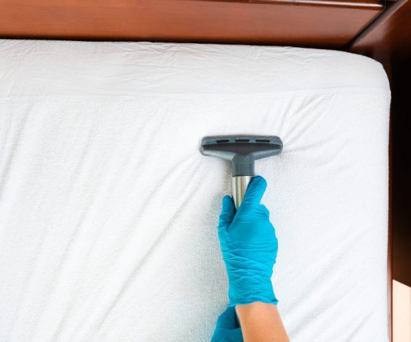 Experience Our Comprehensive Mattress Cleaning Solutions