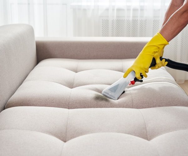 Upholstery Cleaning Services